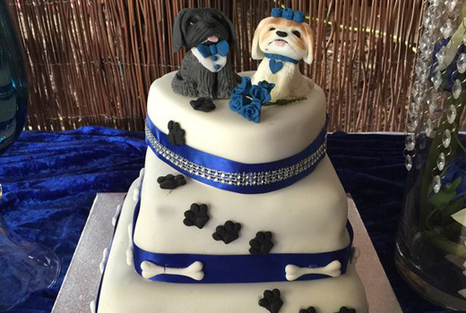 bella dogwed